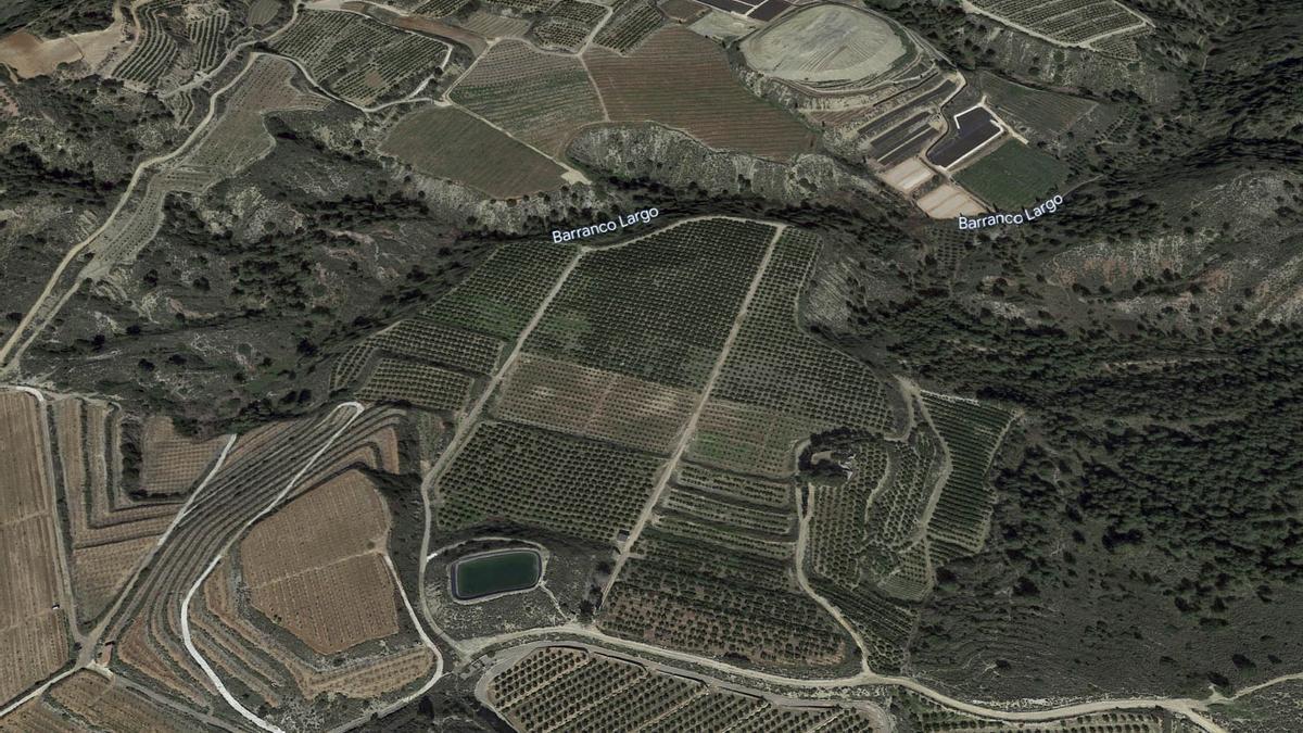 Imagen aérea de la zona de naranjos en la que se proyecta la planta, lindando con Castelló y Manuel.