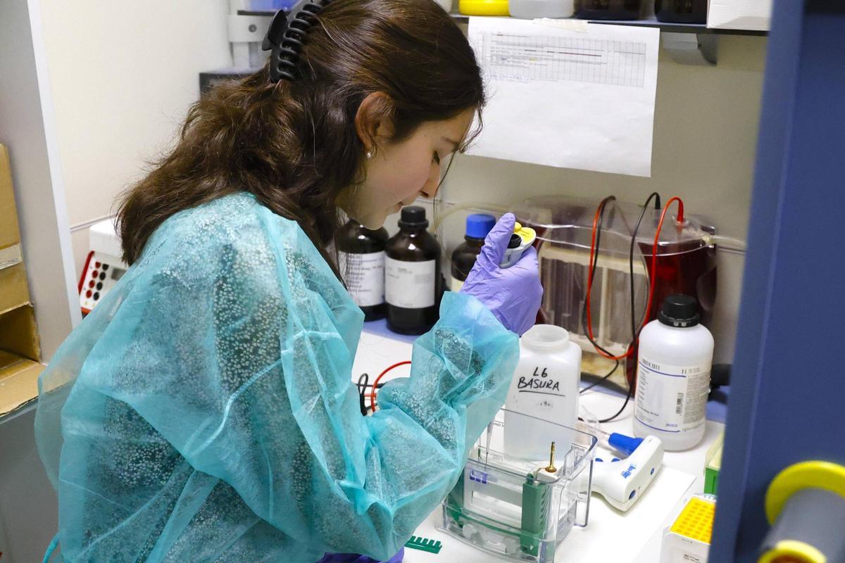 Una investigadora del IDIS