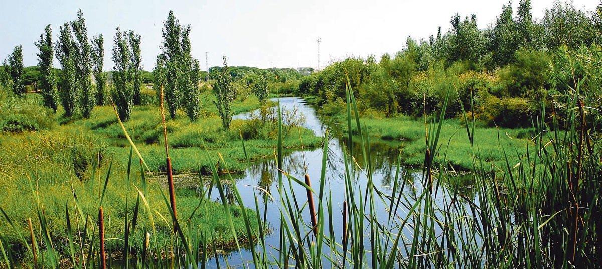 Cepsa: acción por la biodiversidad y el ecosistema