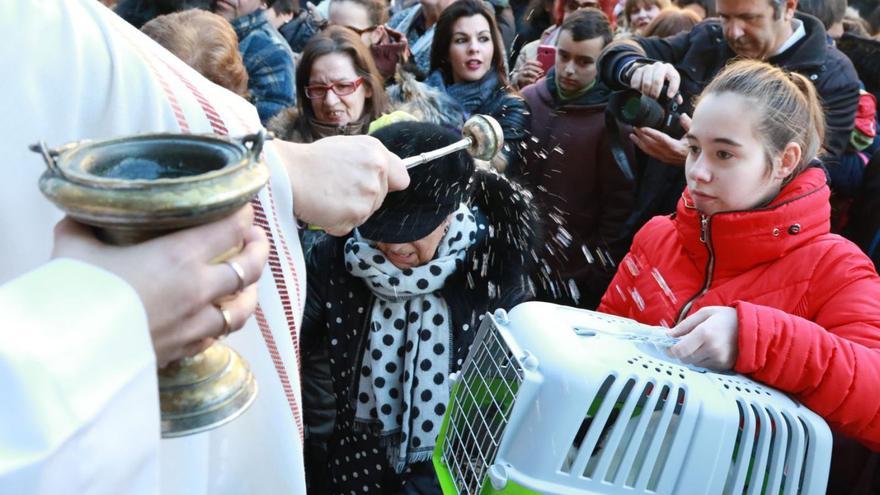 Varios dueños portan a sus mascotas que reciben la bendición un día de San Antón. | J.L.F.