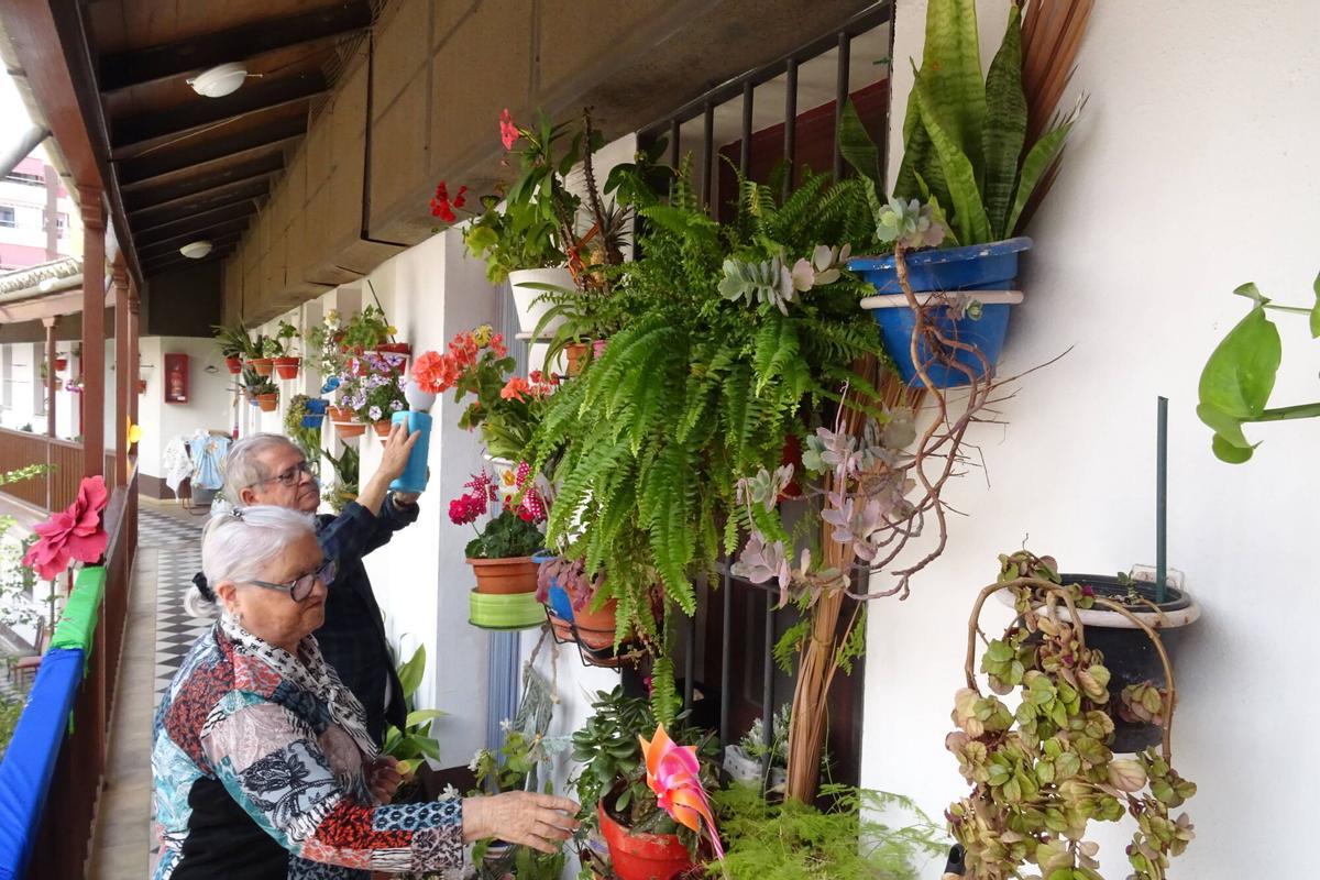 Los corralones de La Trinidad y El Perchel abren sus puertas en esta XX Semana Popular de los Corralones
