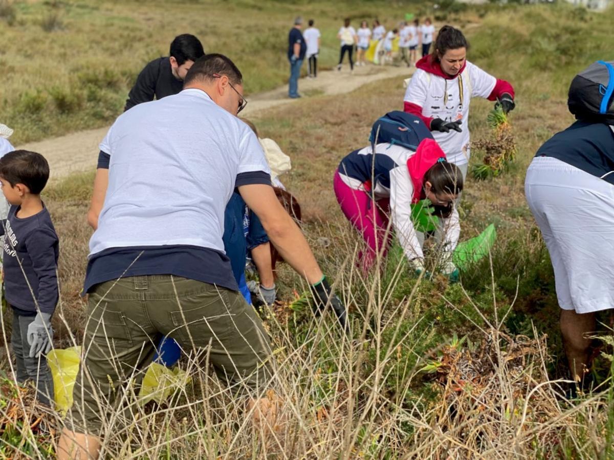 Eliminación de especies invasoras.