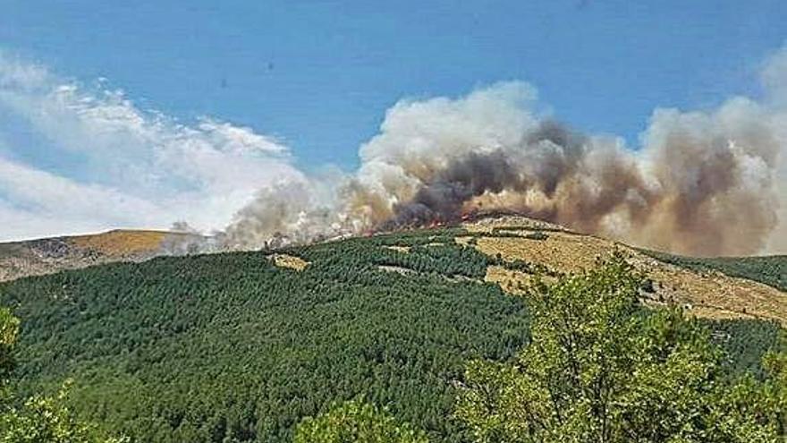 Àvila L&#039;incendi ja ha cremat 300 hectàrees