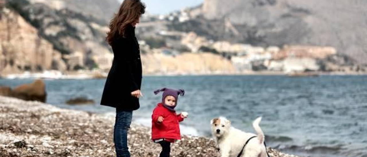 Altea estudia crear una playa para perros en una zona de la Olla