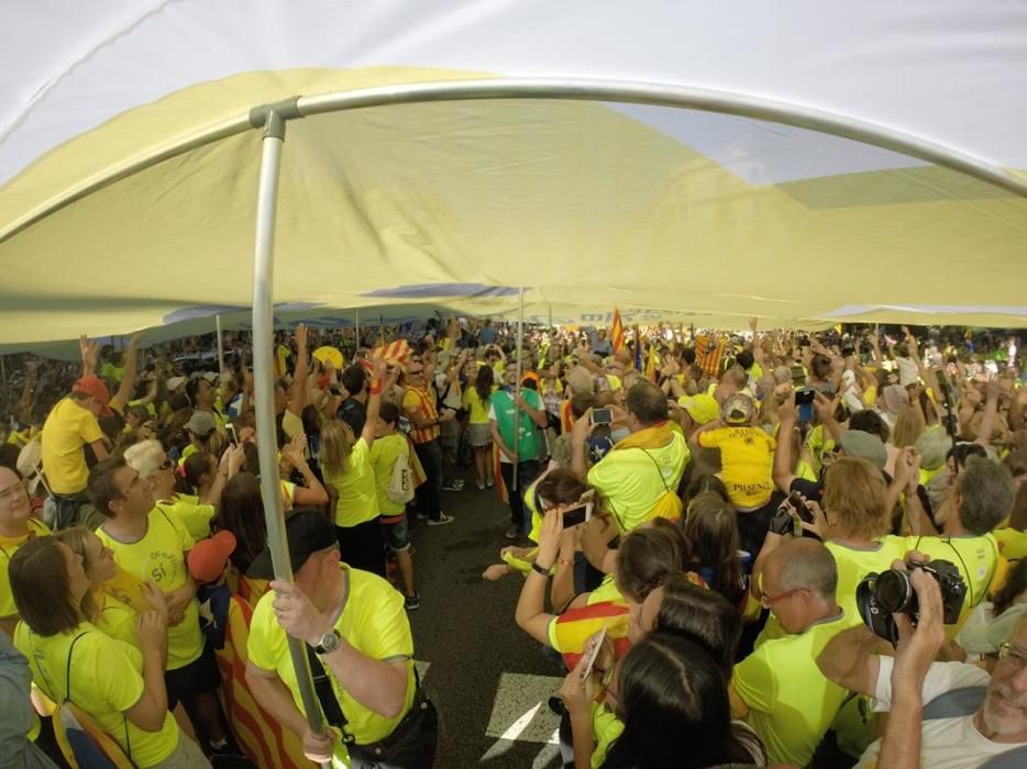 Els gironins a la manifestació de la Diada a Barcelona