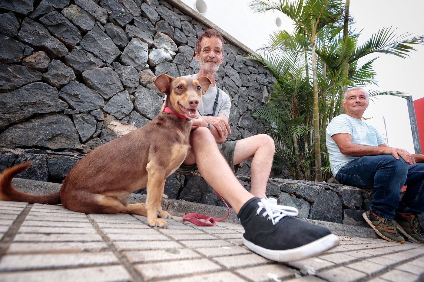 Los desalojados por la reactivación del incendio de Tenerife regresan a sus casas