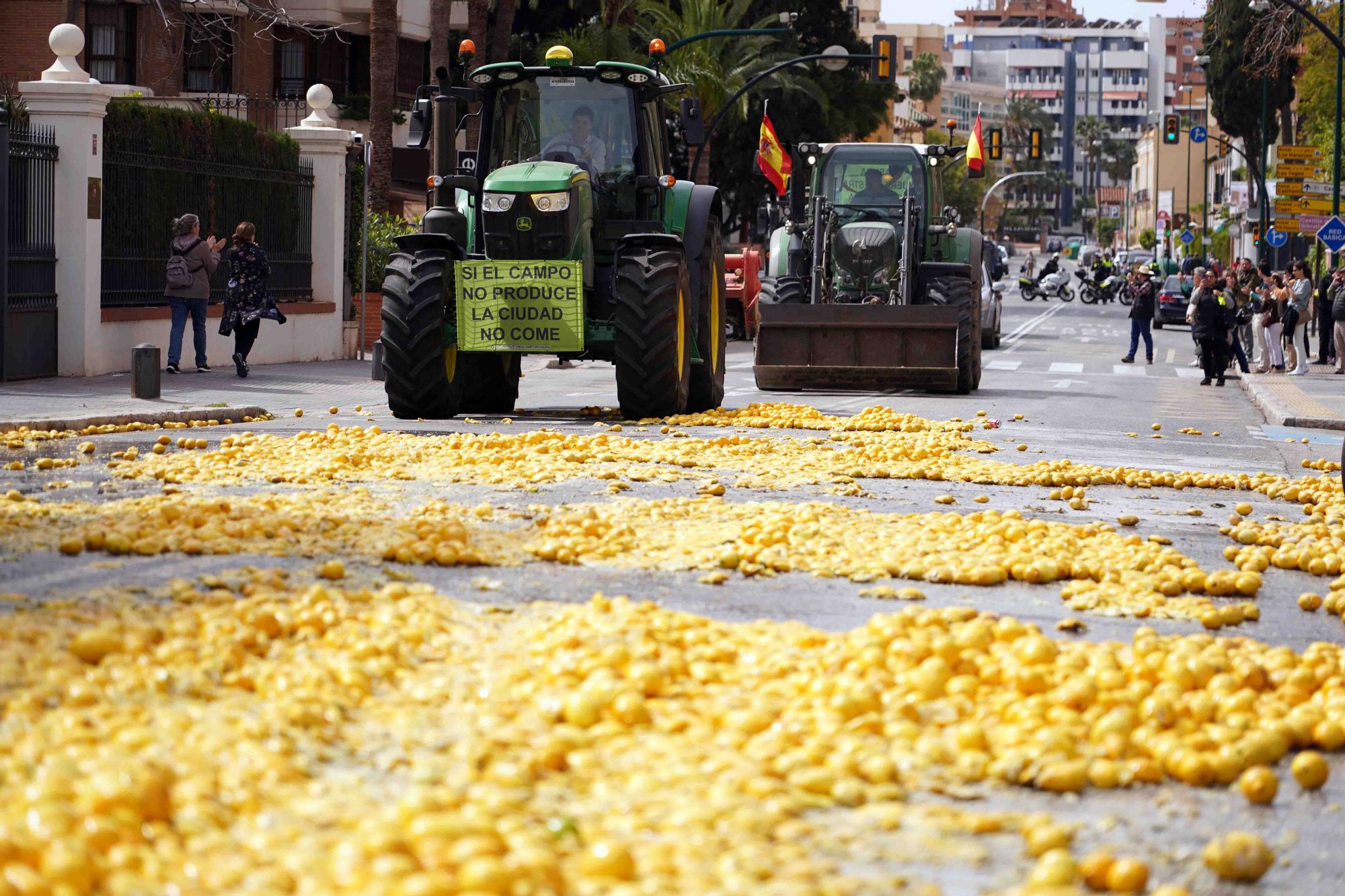 Concentración de agricultores en las puertas de la Subdelegación de Gobierno de Málaga, en el Paseo de Sancha.