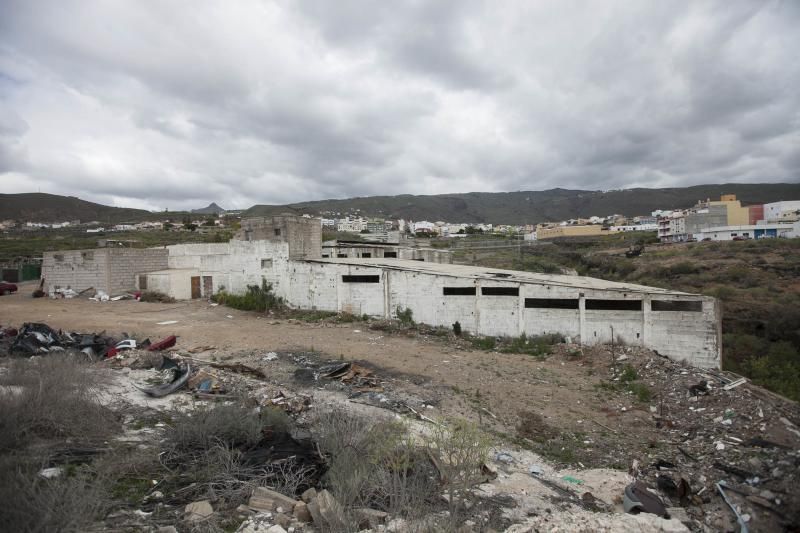 Finca de Arona donde han hallado animales muertos