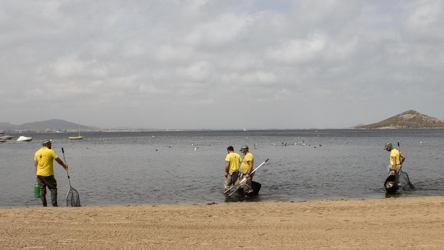 El Mar Menor marca su récord de temperatura