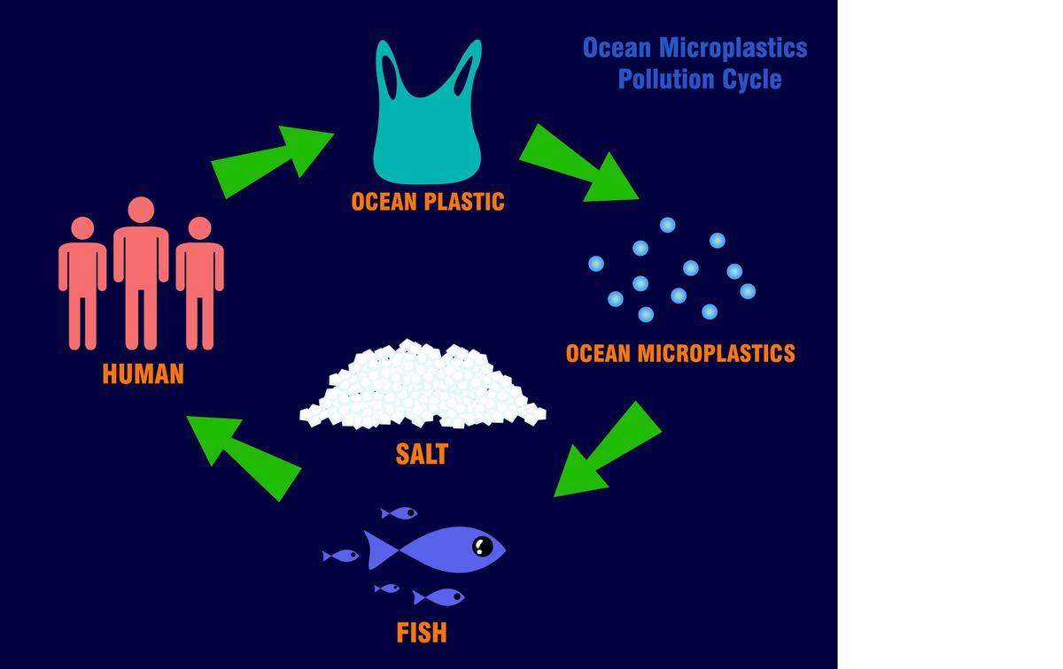 Ciclo de los microplásticos en el mar