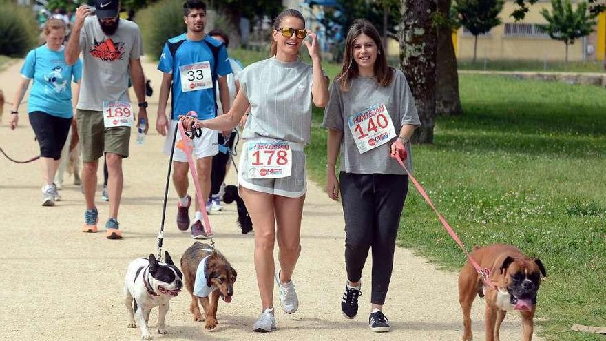 Participantes en la Carrera Solidaria Canina &quot;Pontecan&quot;. // Rafa Vázquez