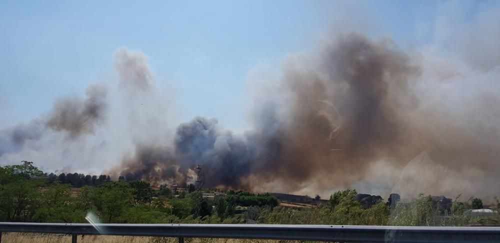 Incendi forestal a Sant Fruitós de Bages