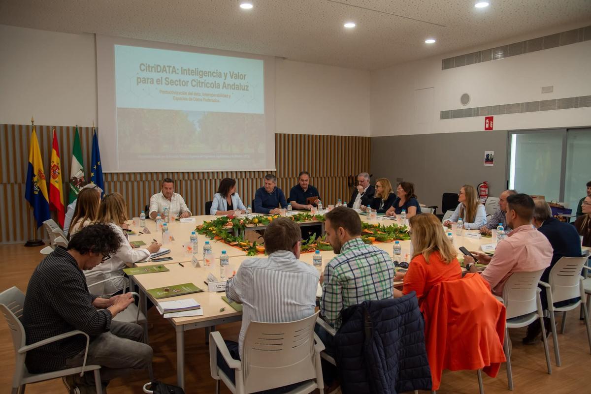 Reunión de la Mesa de Cítricos celebrada en Palma del Río.