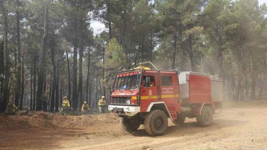 Un vehículo de la Unidad Militar de Emergencias en un pinar de la comarca alistana.