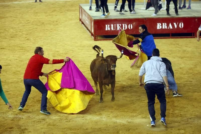 Suelta de vaquillas