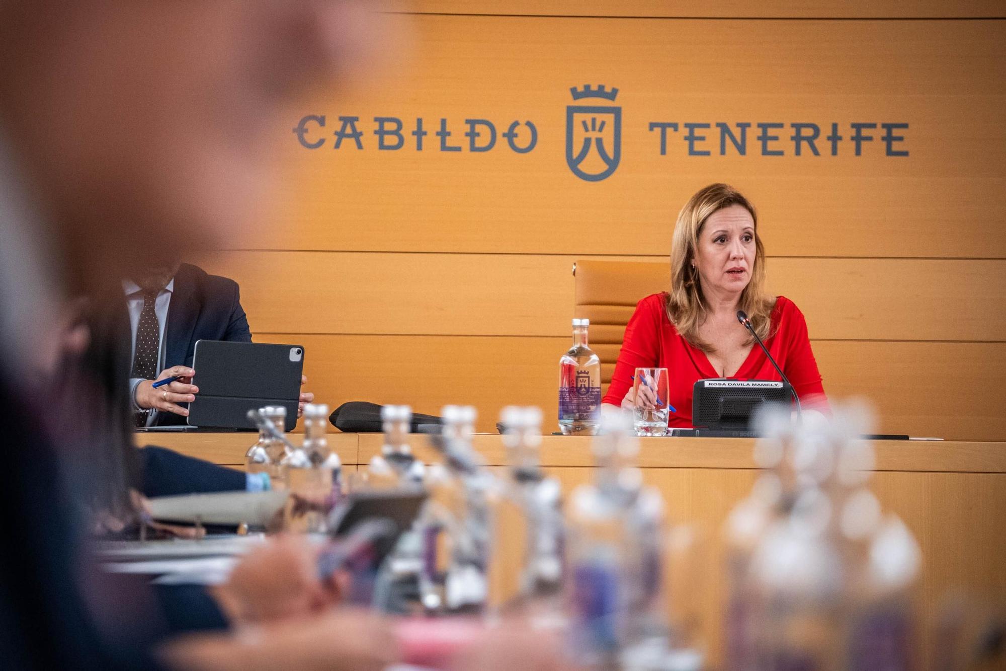 Pleno del Cabildo de Tenerife