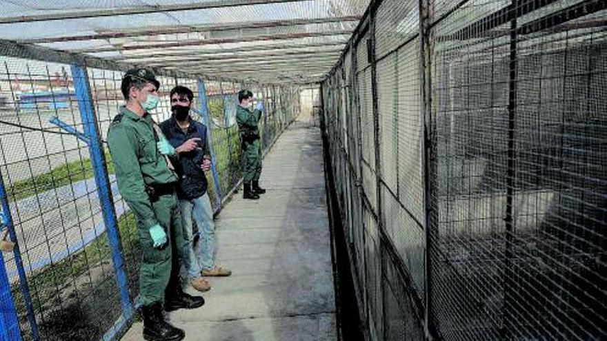 Agentes del Seprona en una inspección en Pájaros Arnaiz.