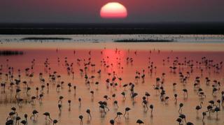 Doñana, en riesgo