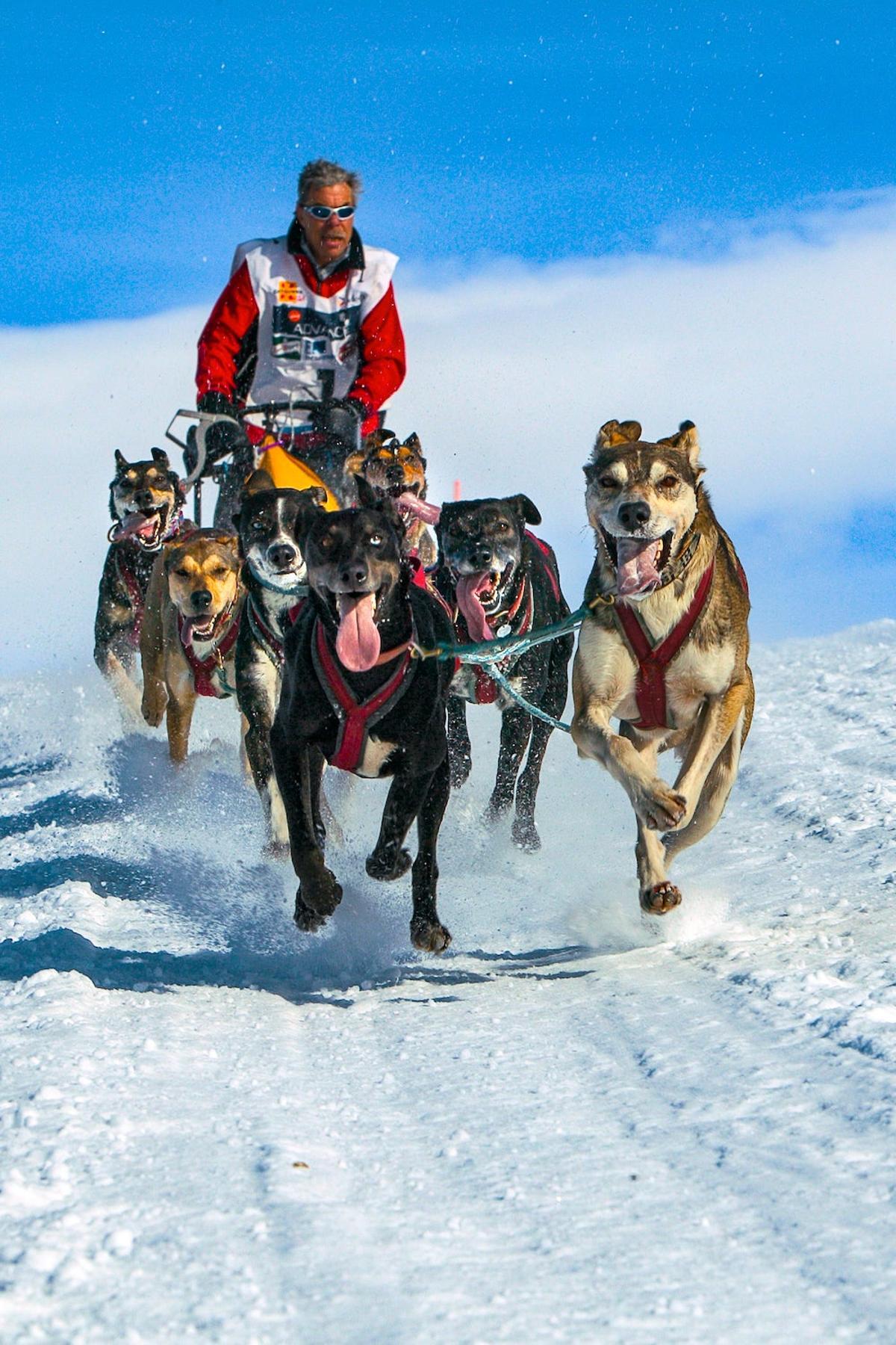 Esquiar, tomar el sol o montar en un trineo tirado por perros son algunas de las opciones que ofrecen las estaciones de esquí andorranas.