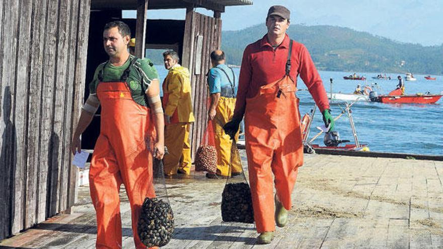 Mariscadores de a flote en el punto de control y/o pesaje instalado en Os Lombos do Ulla.  //  Iñaki Abella