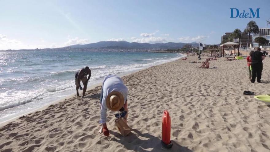 Jornada de limpieza en la playa de Can Pere Antoni