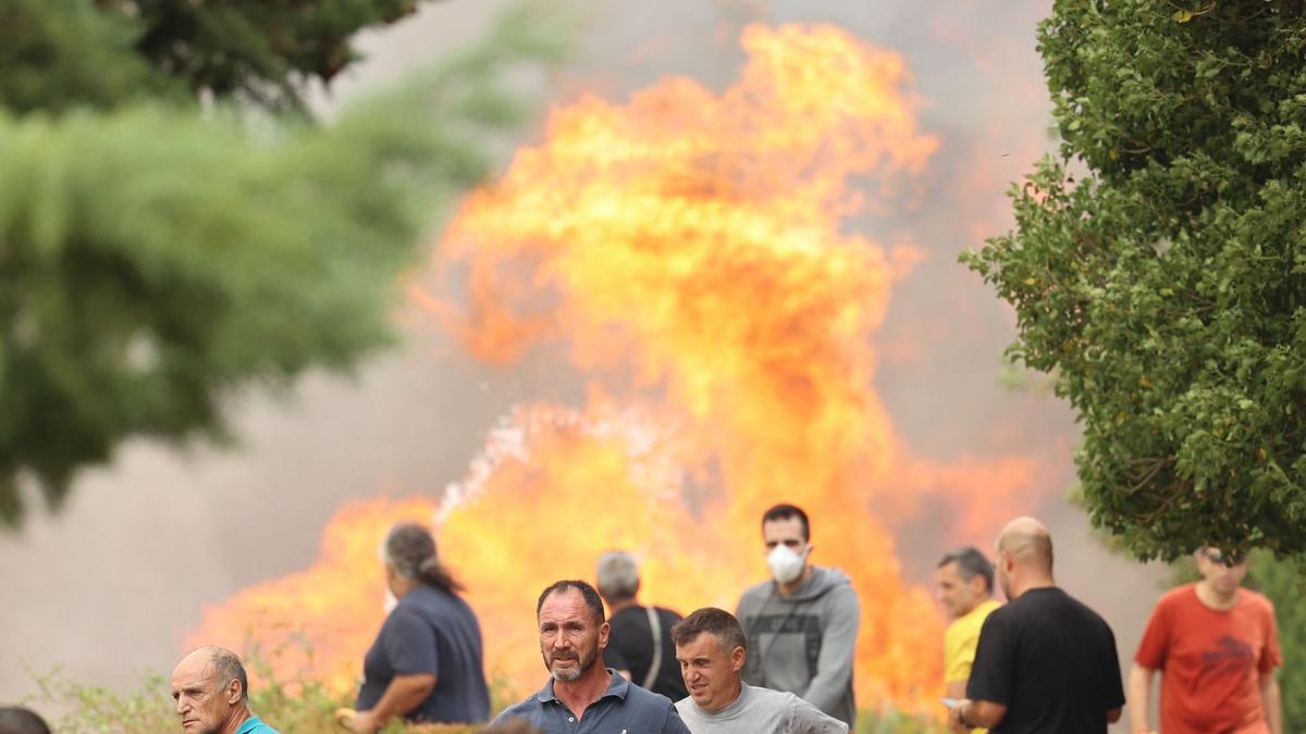 Incendio forestal originado en Añón de Moncayo ayer sábado