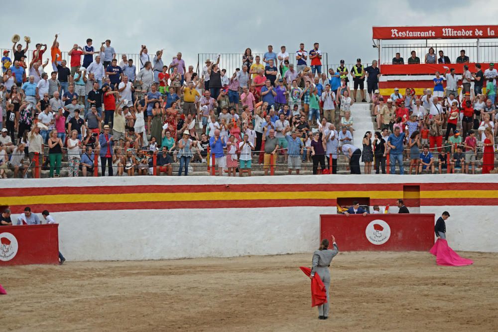 Toros en Alcúdia