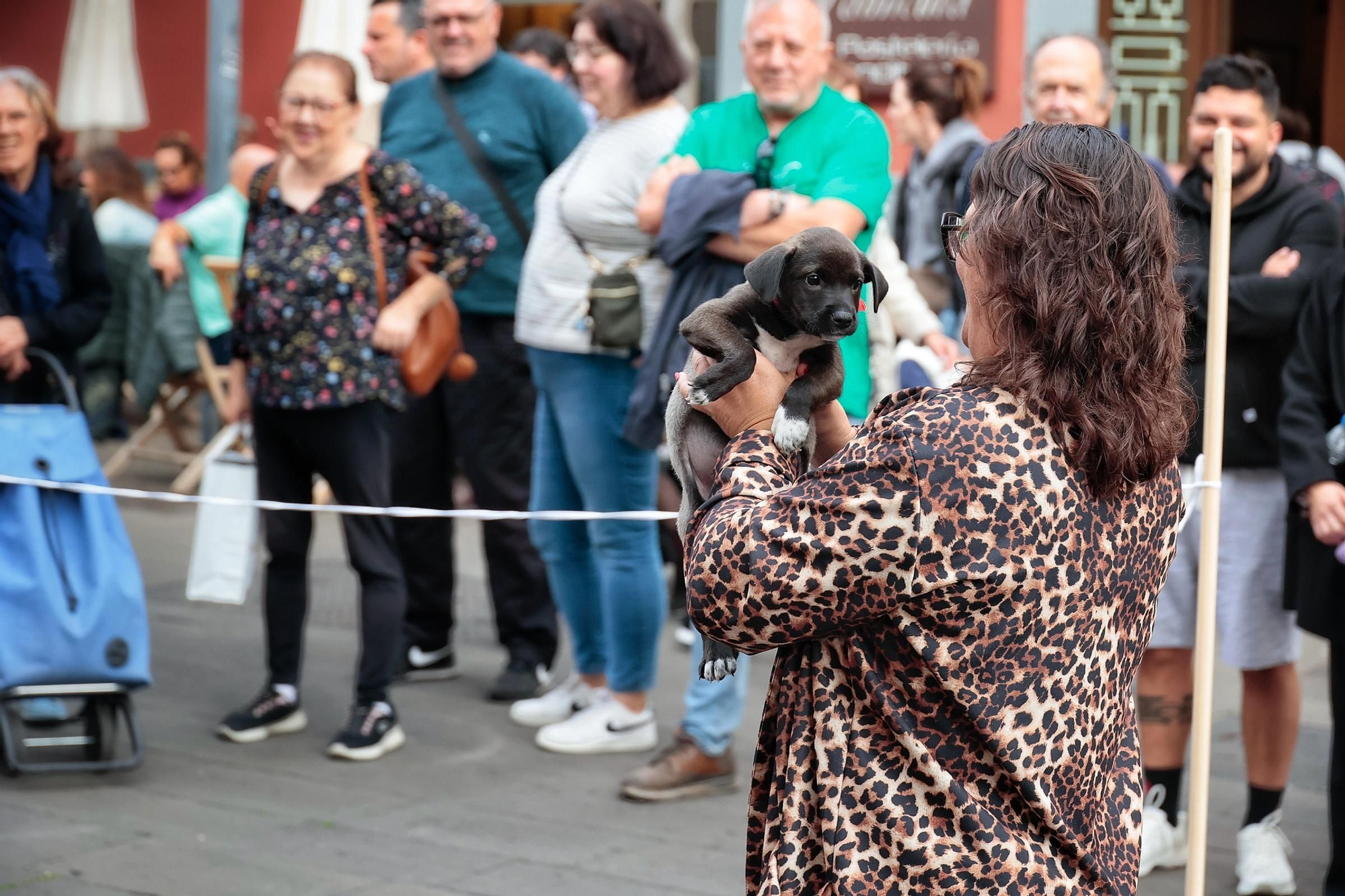 Feria de la Adopción Responsable de Animales de Compañía