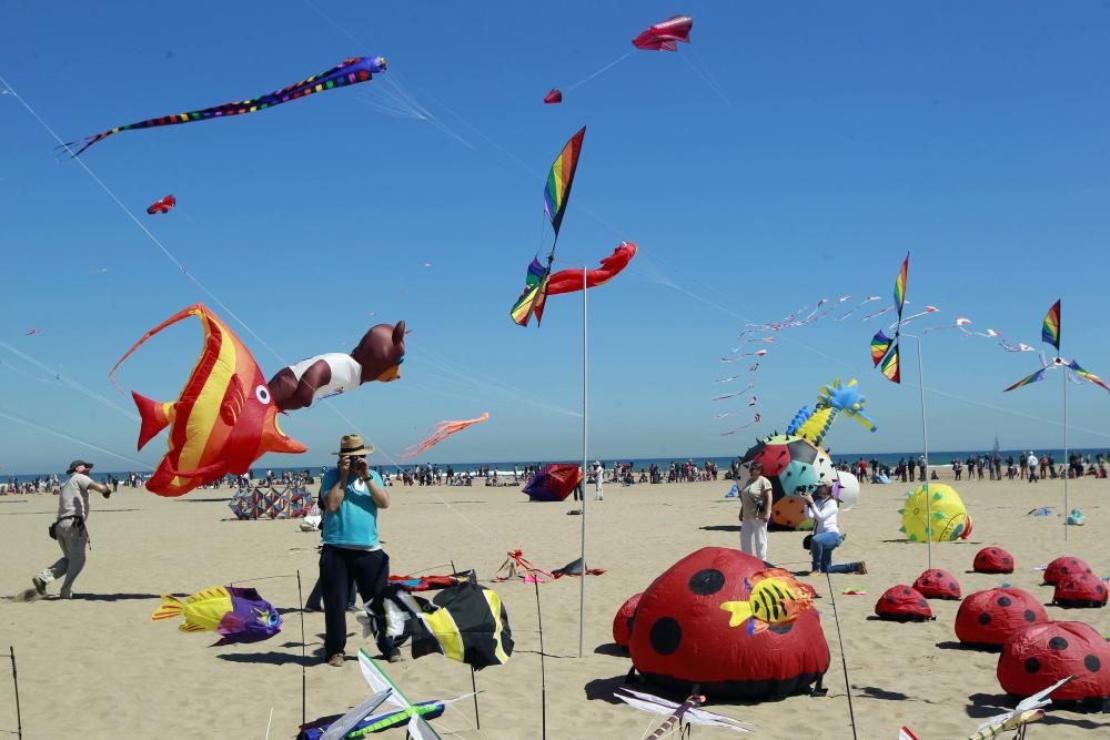 Festival del Viento 2016 en la Malva-rosa