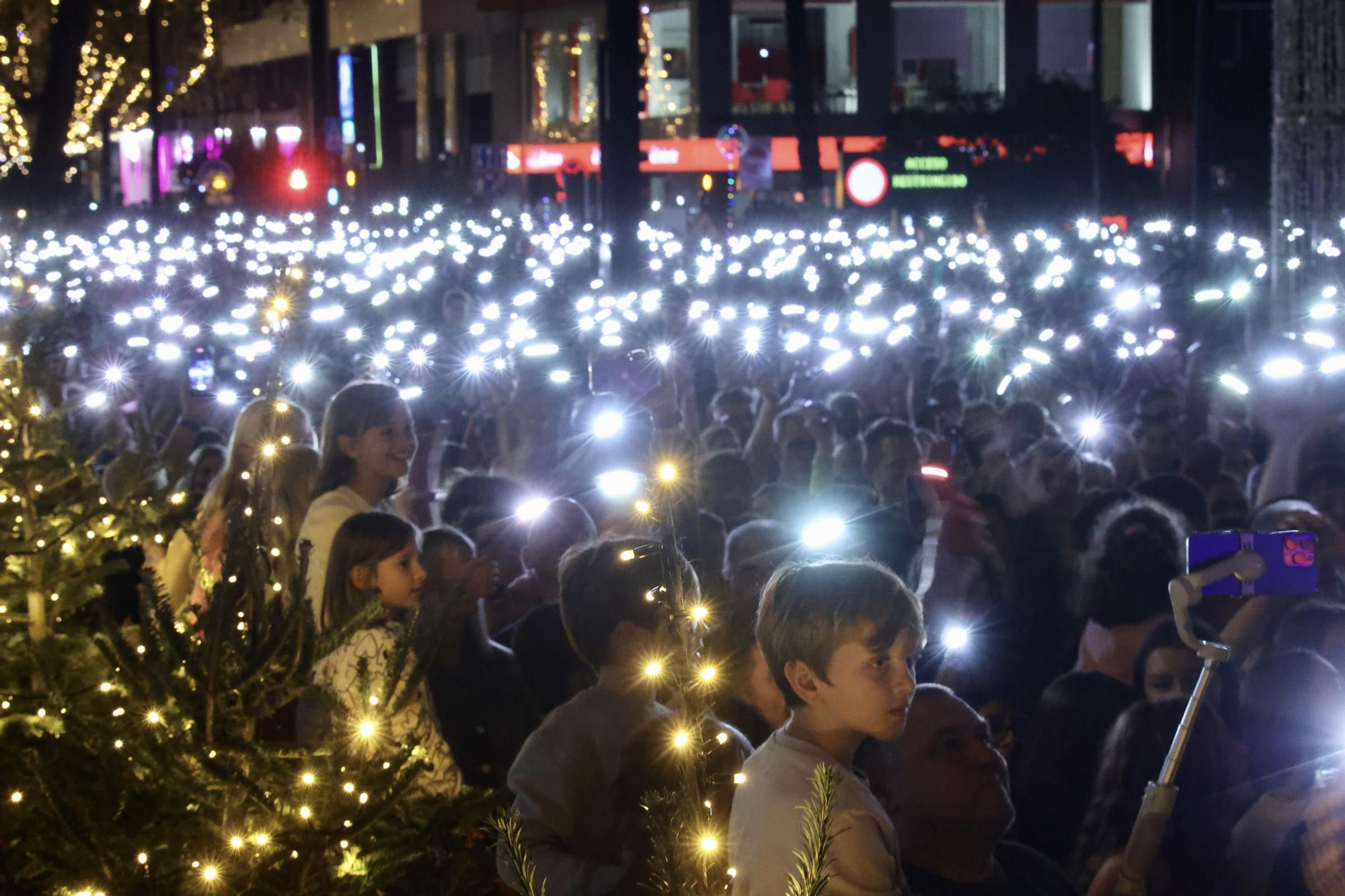 Encendido del Gran Árbol de Navidad de Murcia
