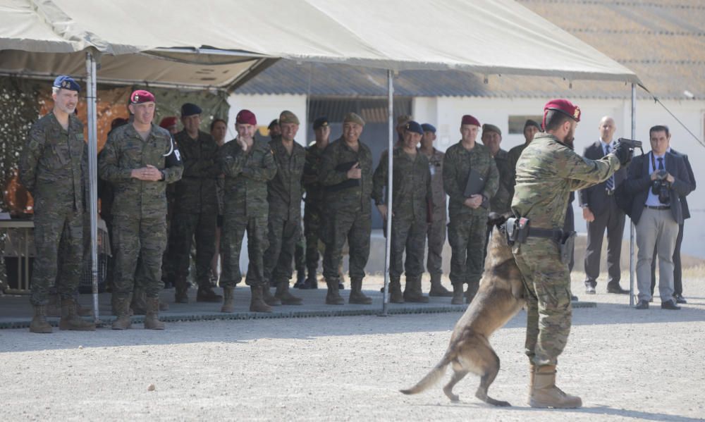 Ejercicio de la policía militar en Bétera con presencia del rey