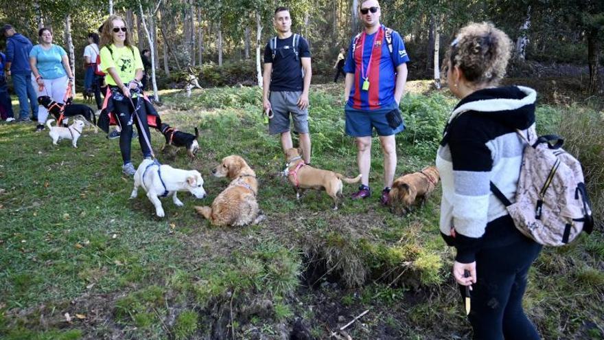 Los animales disfrutaron a lo grande de la salida.   | // R.V.