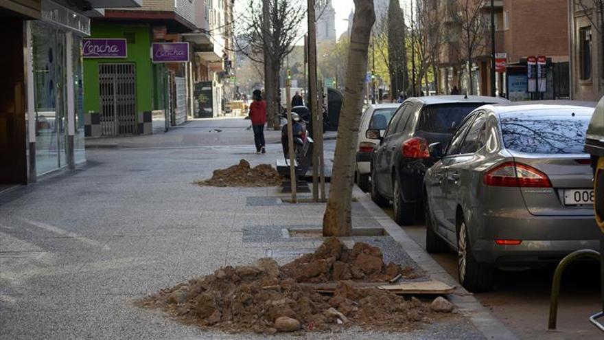 El consistorio dobla el número de árboles plantados en un año