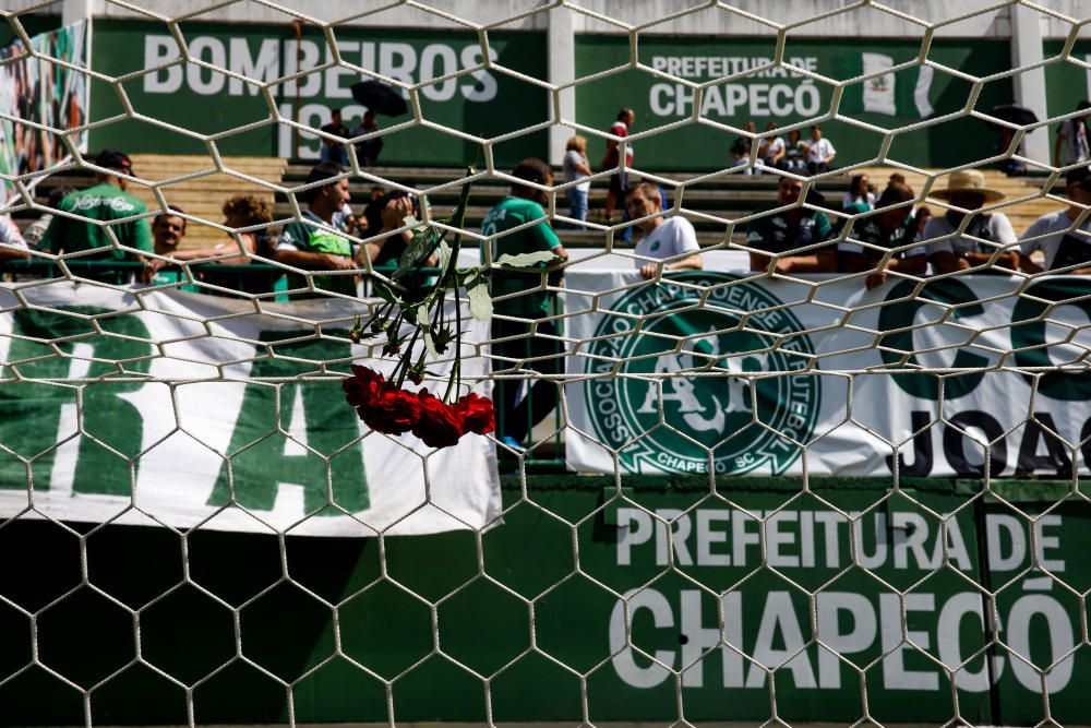 AFICIONADOS DEL CHAPECOENSE RINDEN HOMENAJE A SU ...