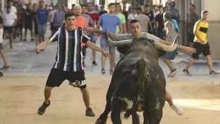 Los 'bous al carrer' se promocionarán en Fitur por primera vez