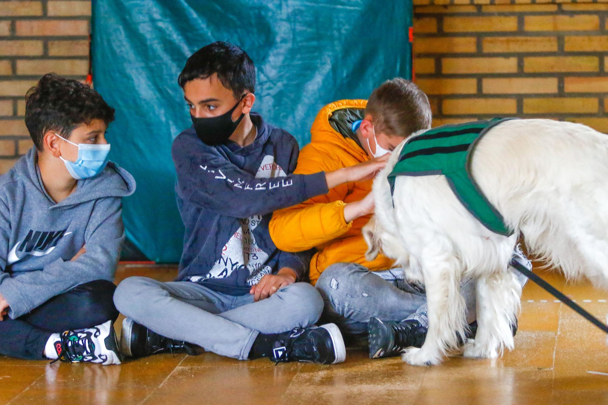 Los alumnos del Arealonga aprenden valores con "profes" caninos