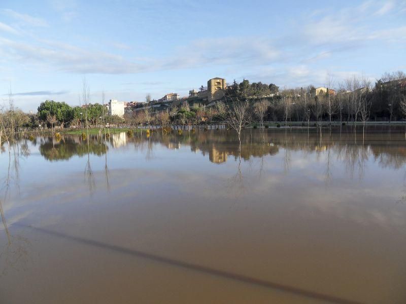 Inundaciones de enero 2016 en Zamora