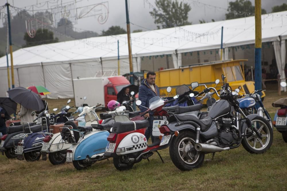 Fiesta de San Pedrín 2019