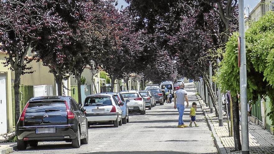 El Ayuntamiento de Cáceres abre expediente a un vecino por matar un árbol de su calle