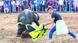 Almassora repite como un claro referente de los ‘bous al carrer’