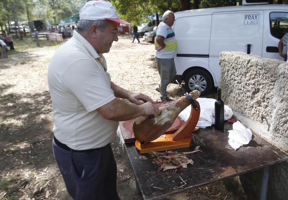 El parque forestal de Candeán celebra su gran romería, que espera recibir hasta 5.000 visitantes