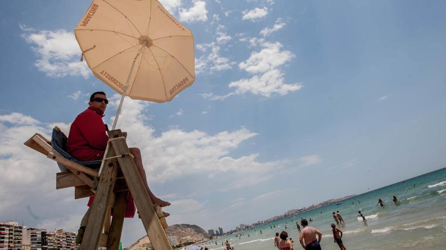 Un socorrista vigila la playa del Postiguet