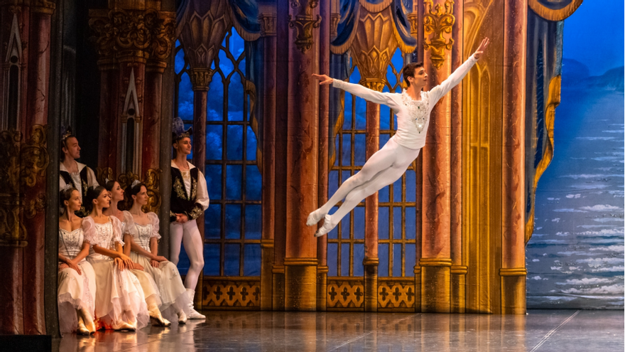 El lago de los cisnes