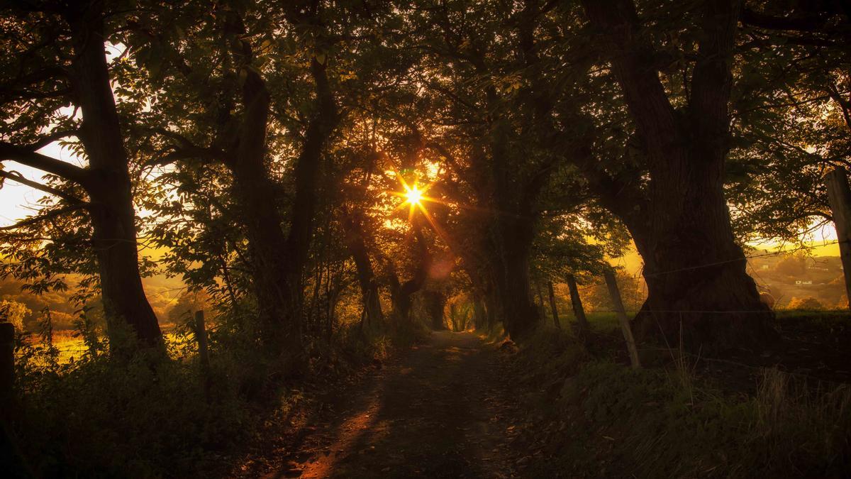 Los Covarones del Tuernes, así es el impresionante paisaje kárstico de moda en Llanera