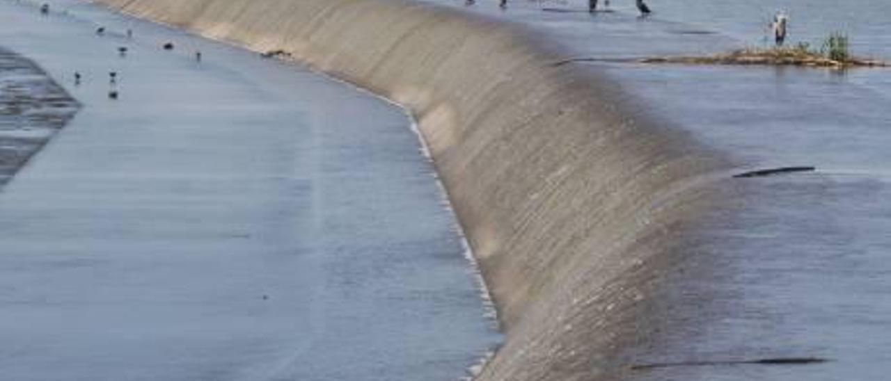 Ciudadanos rescata la toma de Cortes para llevar agua del Ebro hasta Murcia