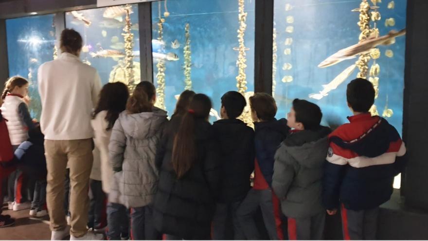 Escolares de España y Portugal aprenden en el Acuario O Grove