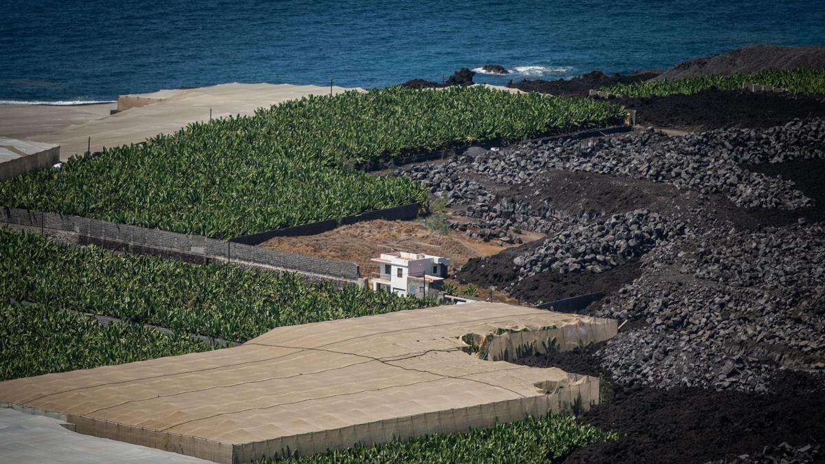 Panorámica del litoral de Puerto Naos afectado por las coladas del volcán Tajogaite.