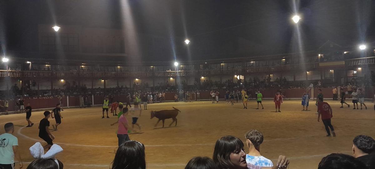 GALERÍA | La verbena taurina de las Fiestas de San Agustín de Toro, en imágenes GALERÍA | La verbena taurina de las Fiestas de San Agustín de Toro, en imágenes