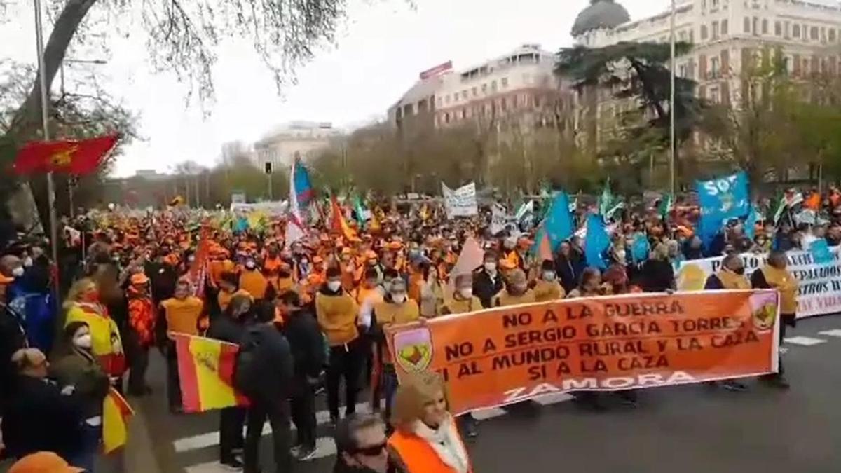 VÍDEO | ¿Quiénes son esta "masa naranja" de zamoranos?