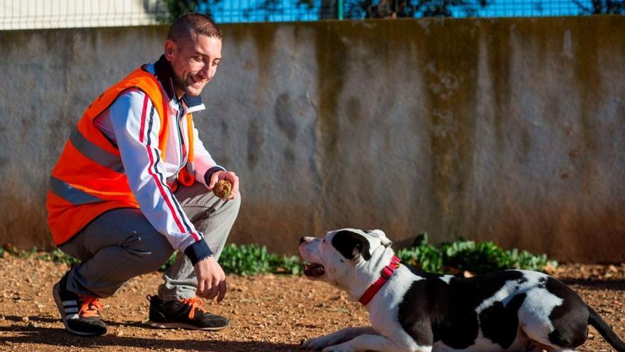 Los voluntarios colaboran al cuidado de los animales de Son Reus.